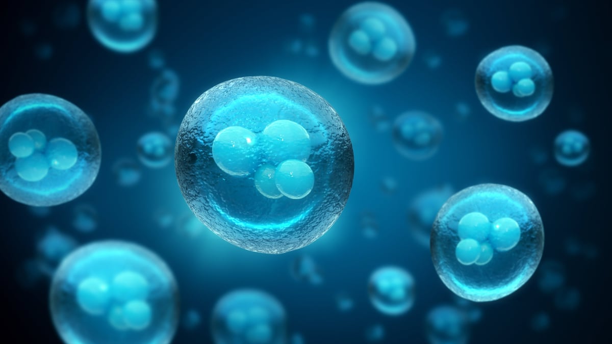 Stem cells under the microscope, Laboratory, Science technology concept, 3d rendering